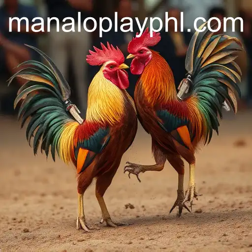 Cockfighting: Tradition and Controversy